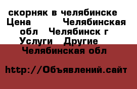 скорняк в челябинске › Цена ­ 500 - Челябинская обл., Челябинск г. Услуги » Другие   . Челябинская обл.